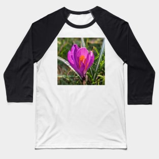 Orange and Purple Flower in the Sun 2 Baseball T-Shirt